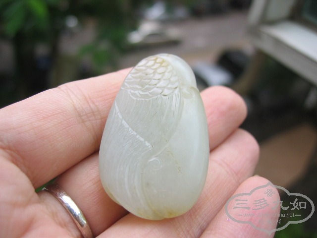 Ƭ 7359.jpg