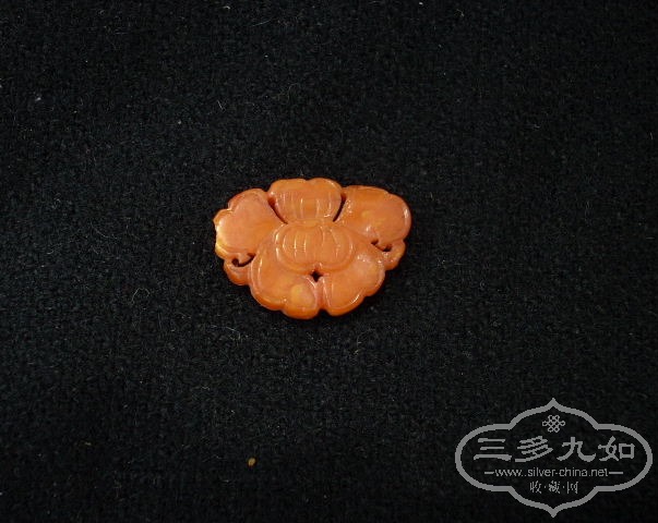DSCN9021.JPG