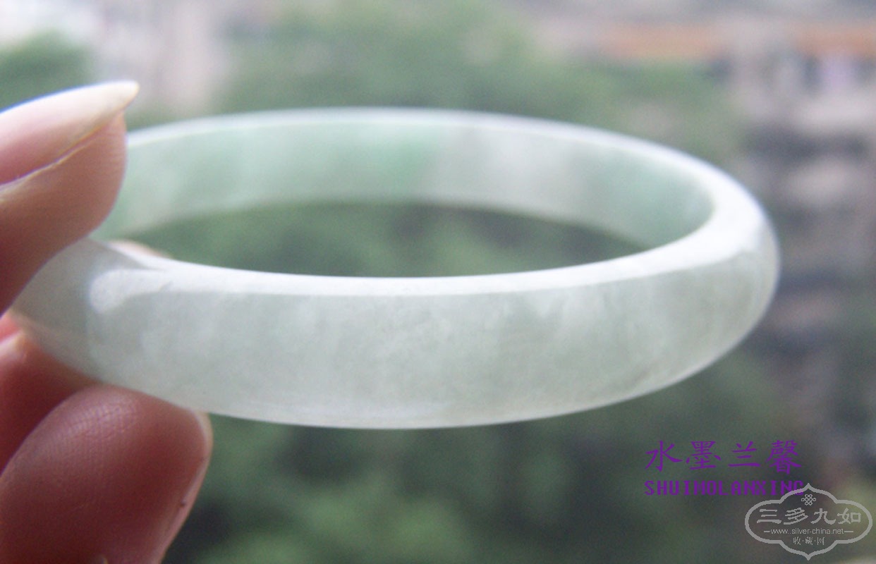 100_8460 ����.jpg