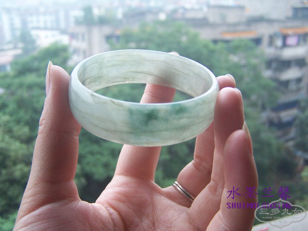 100_8503 ����.jpg