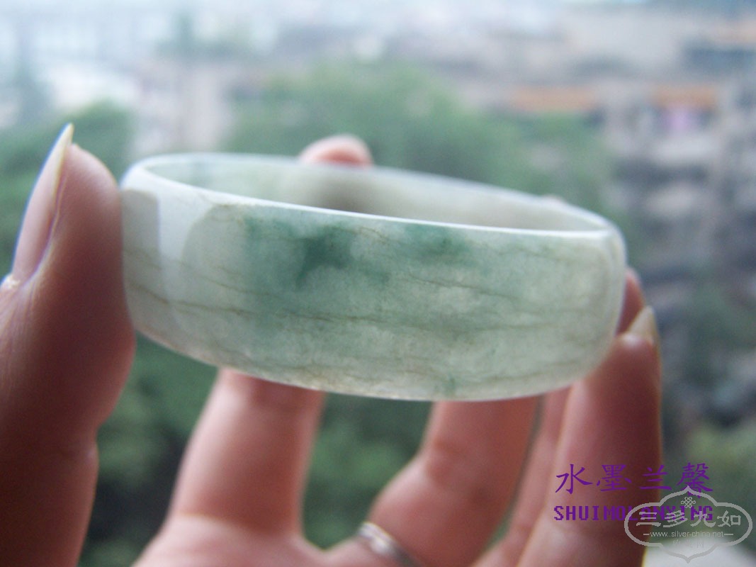 100_8496 ����.jpg