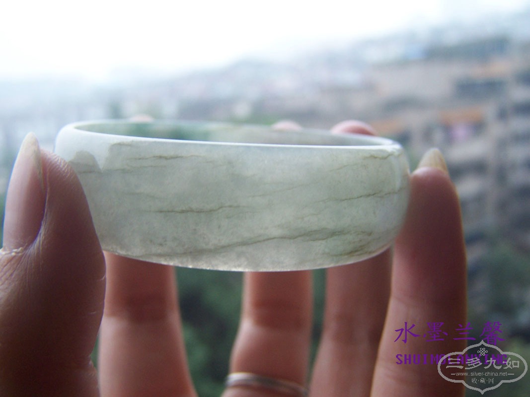 100_8501 ����.jpg