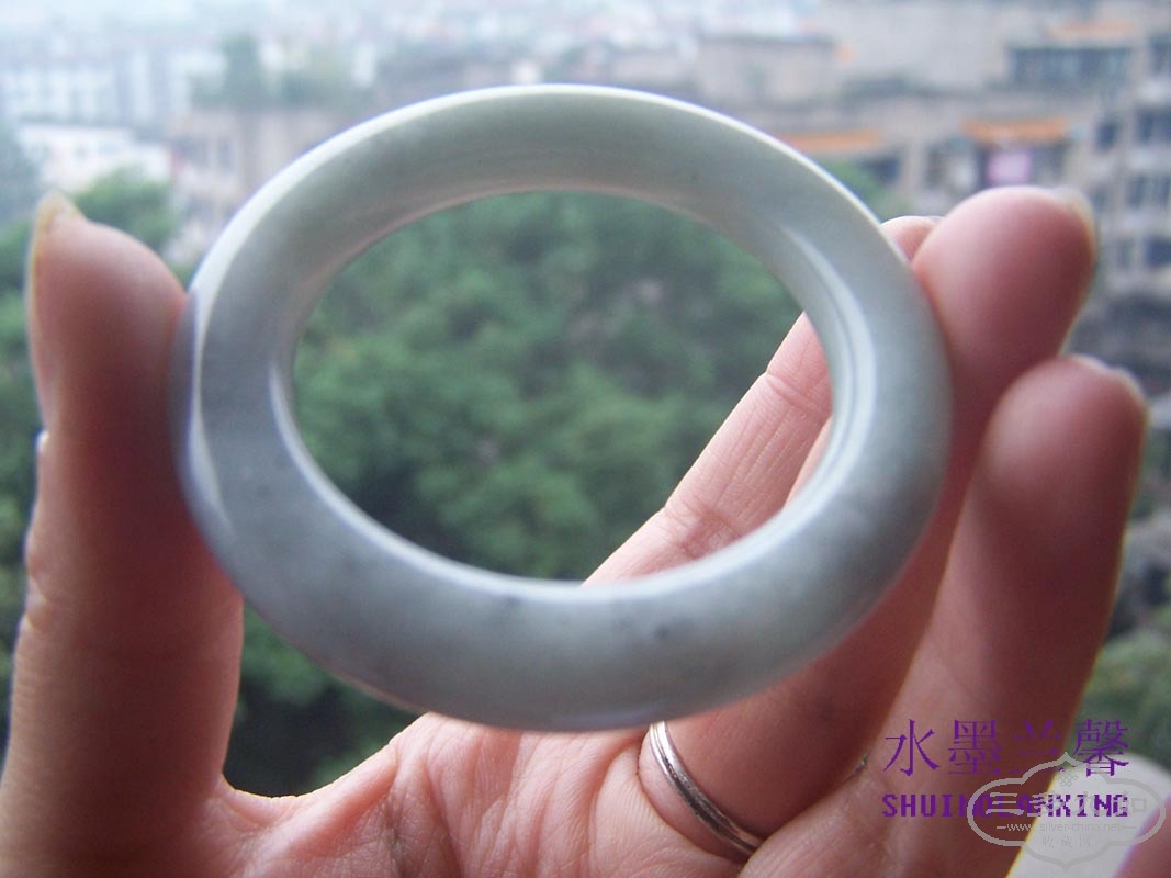 100_8480 ����.jpg