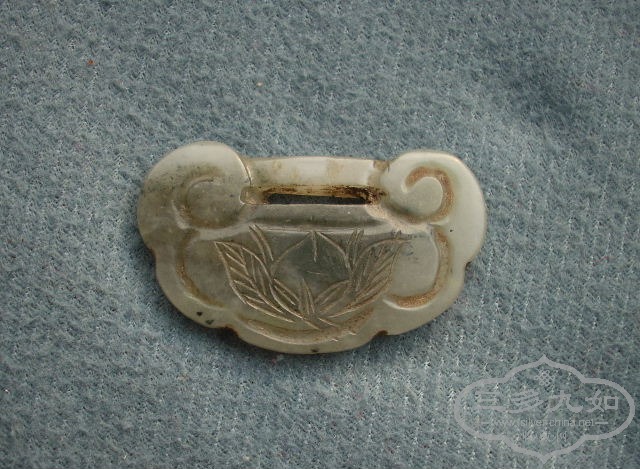 DSCN9572.JPG