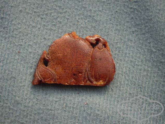 DSCN9560.JPG