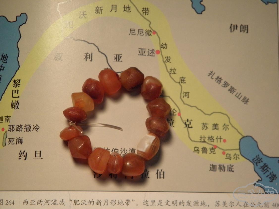 P1240751.JPG