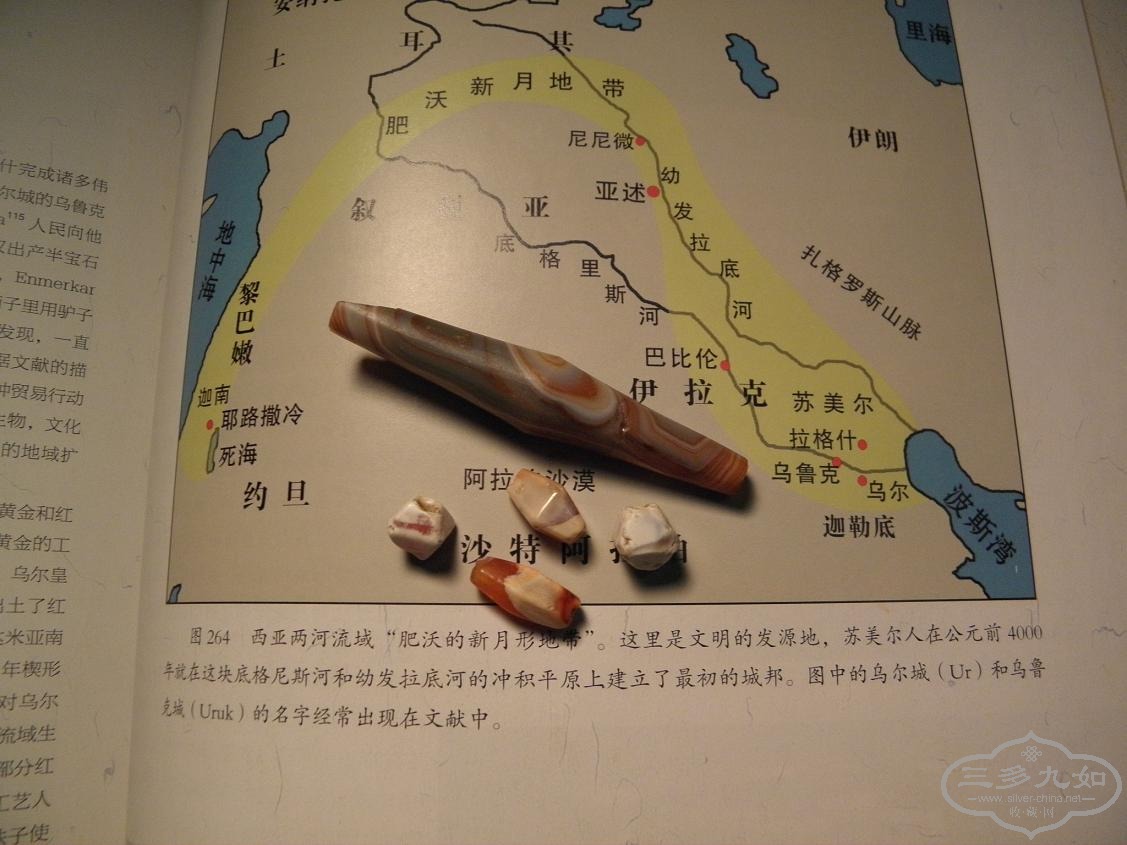 P1240752.JPG