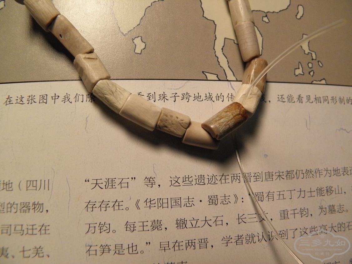 P1240760.JPG