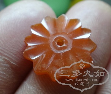 DSC04960_.jpg