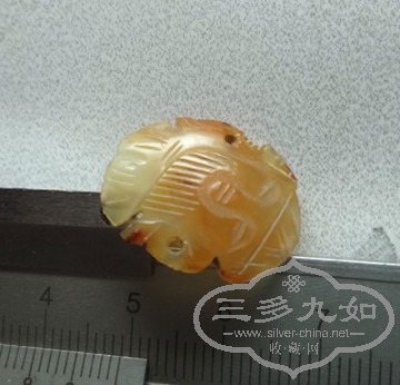 DSC05109_.jpg