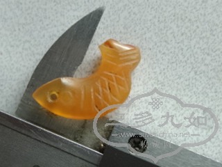 DSC05111_.jpg