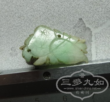 DSC05113_.jpg