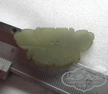 DSC05115_.jpg