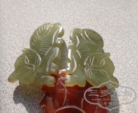 DSC05027_.jpg