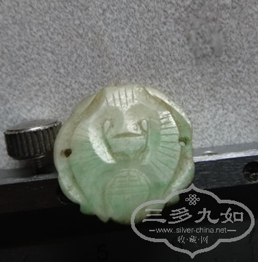 DSC05165_.jpg