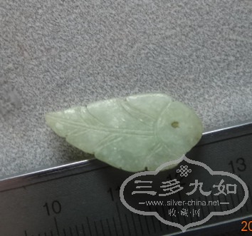 DSC05169_.jpg