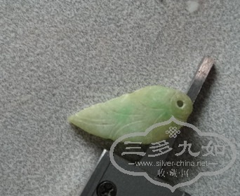 DSC05174_.jpg
