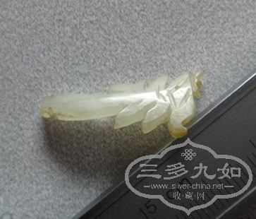 DSC05231_.jpg