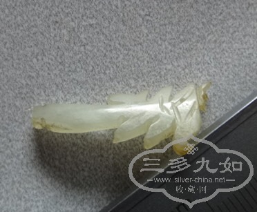 DSC05232_.jpg