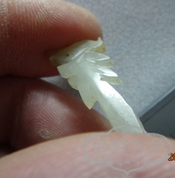 DSC05234_.jpg