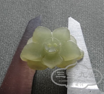 DSC05413_.jpg