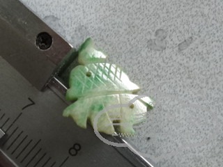 DSC05560_.jpg