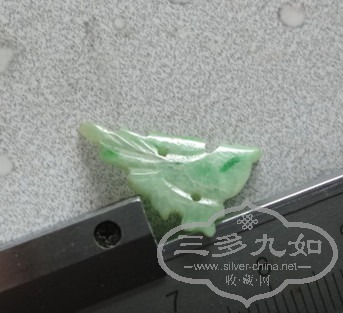 DSC05477_.jpg