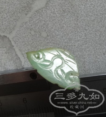DSC05479_.jpg