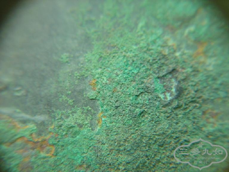 DSC05749.JPG