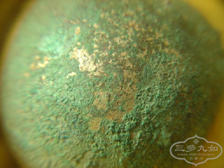 DSC05781.JPG