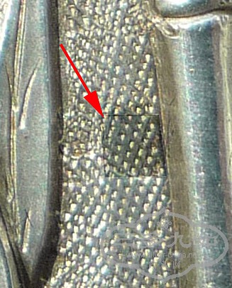 P1060002.JPG