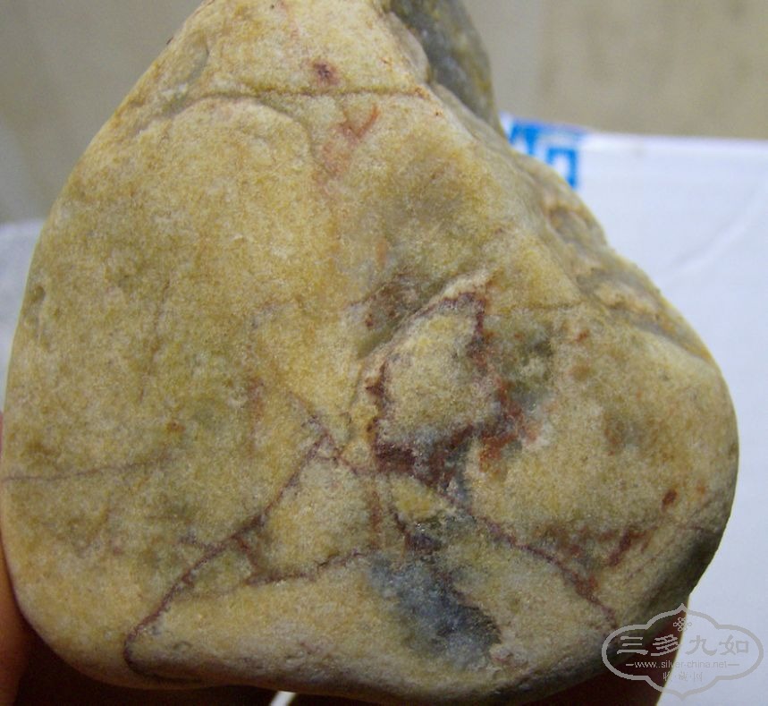 HPIM25544.jpg