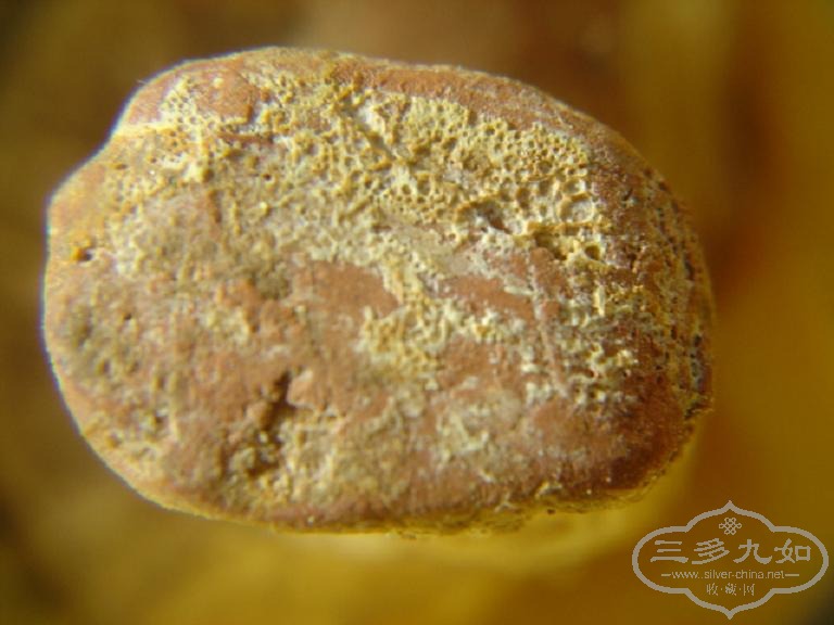 DSC07632.JPG