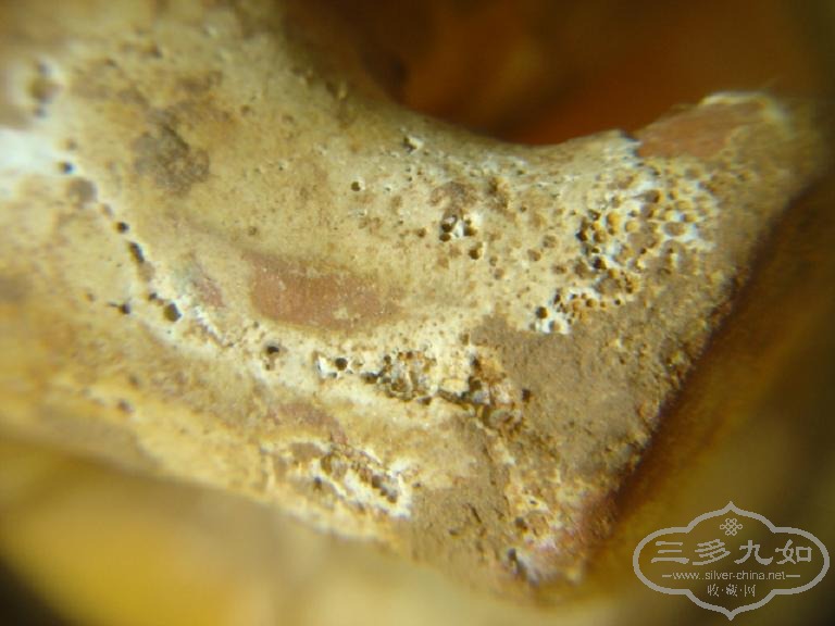 DSC07653.JPG