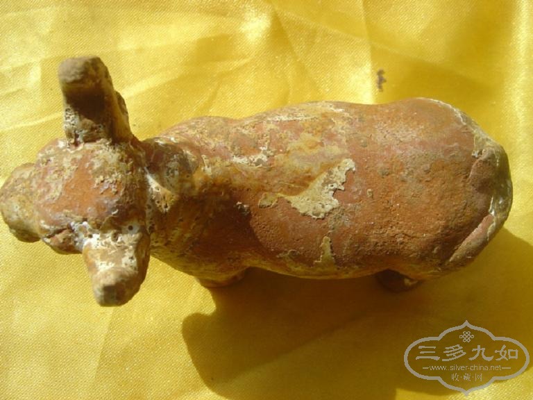 DSC07617.JPG