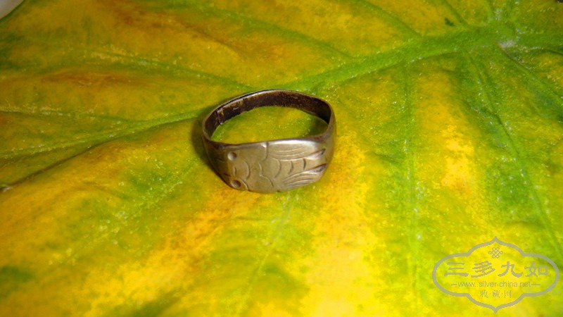 DSC02927_.jpg