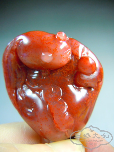 DSCN7766.JPG