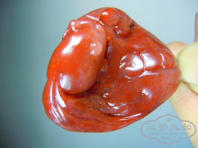 DSCN7762.JPG