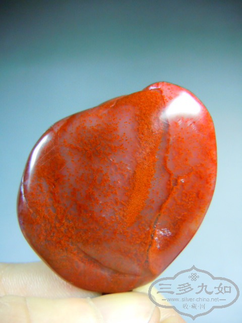 DSCN7763.JPG