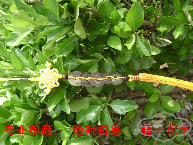 DSC00631_.jpg