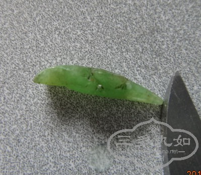 DSC08626_.jpg