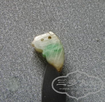 DSC08631_.jpg