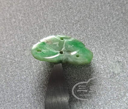 DSC08647_.jpg