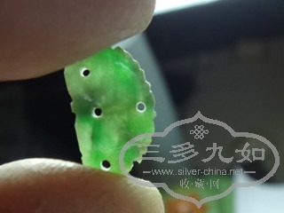 DSC08648_.jpg