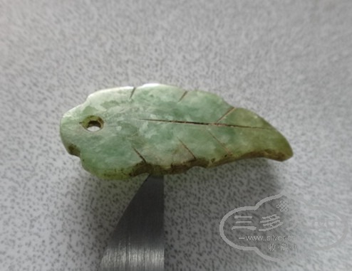 DSC08660_.jpg