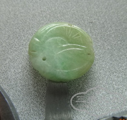 DSC08718_.jpg