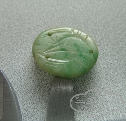 DSC08720_.jpg