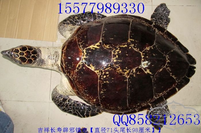 004.JPG