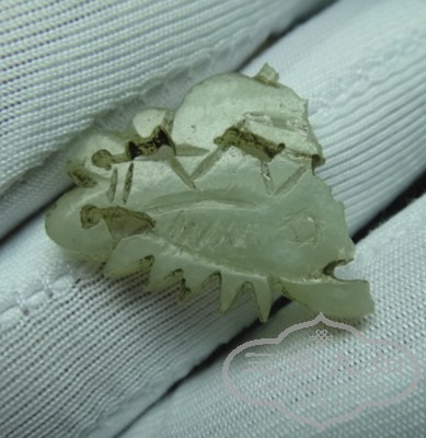 DSC09669_.jpg