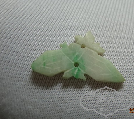 DSC00095_.jpg